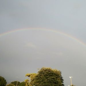 Meet your Posher, Lilly